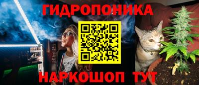 эйфоретик Бузулук