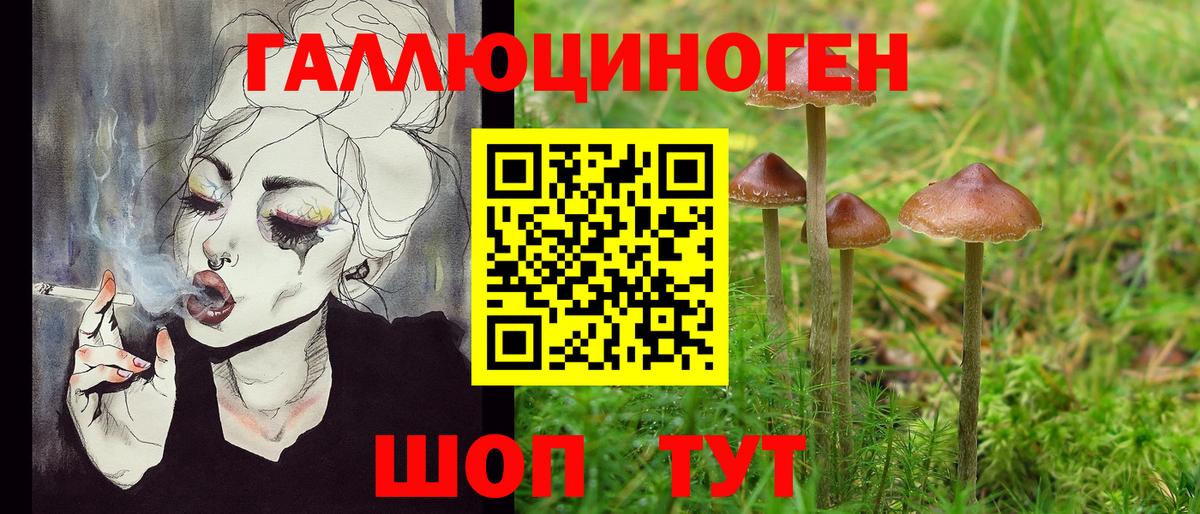 Псилоцибиновые грибы GOLDEN TEACHER  Вход с VPN  Саянск 